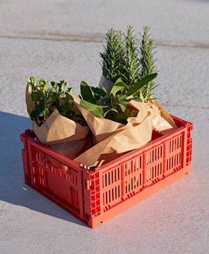 HAY Colour Crate - available in new colours and sizes